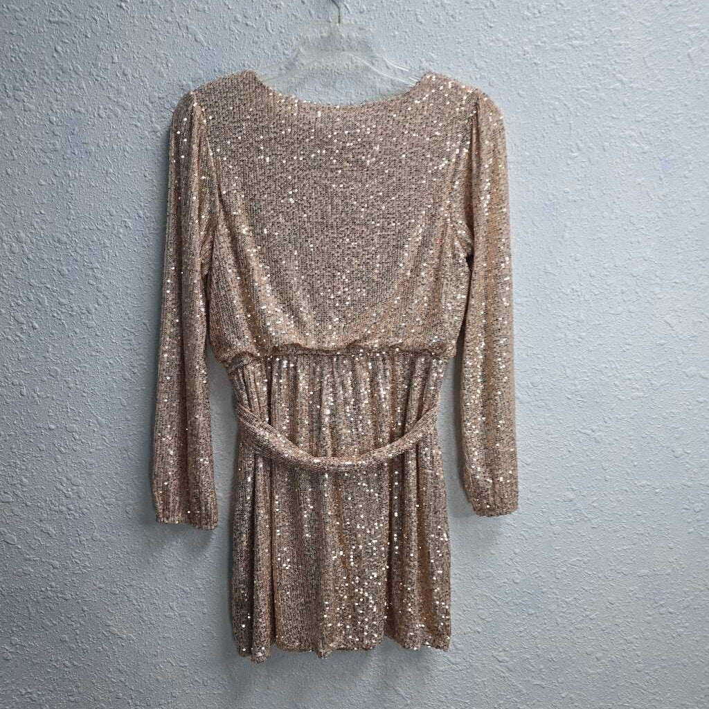 Belted Sequin Dress