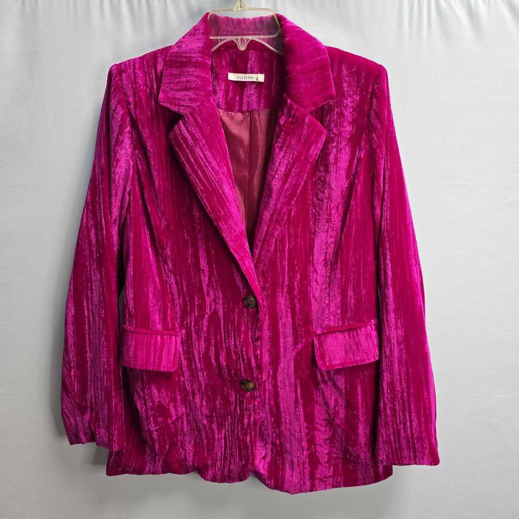 Velvet Blazer