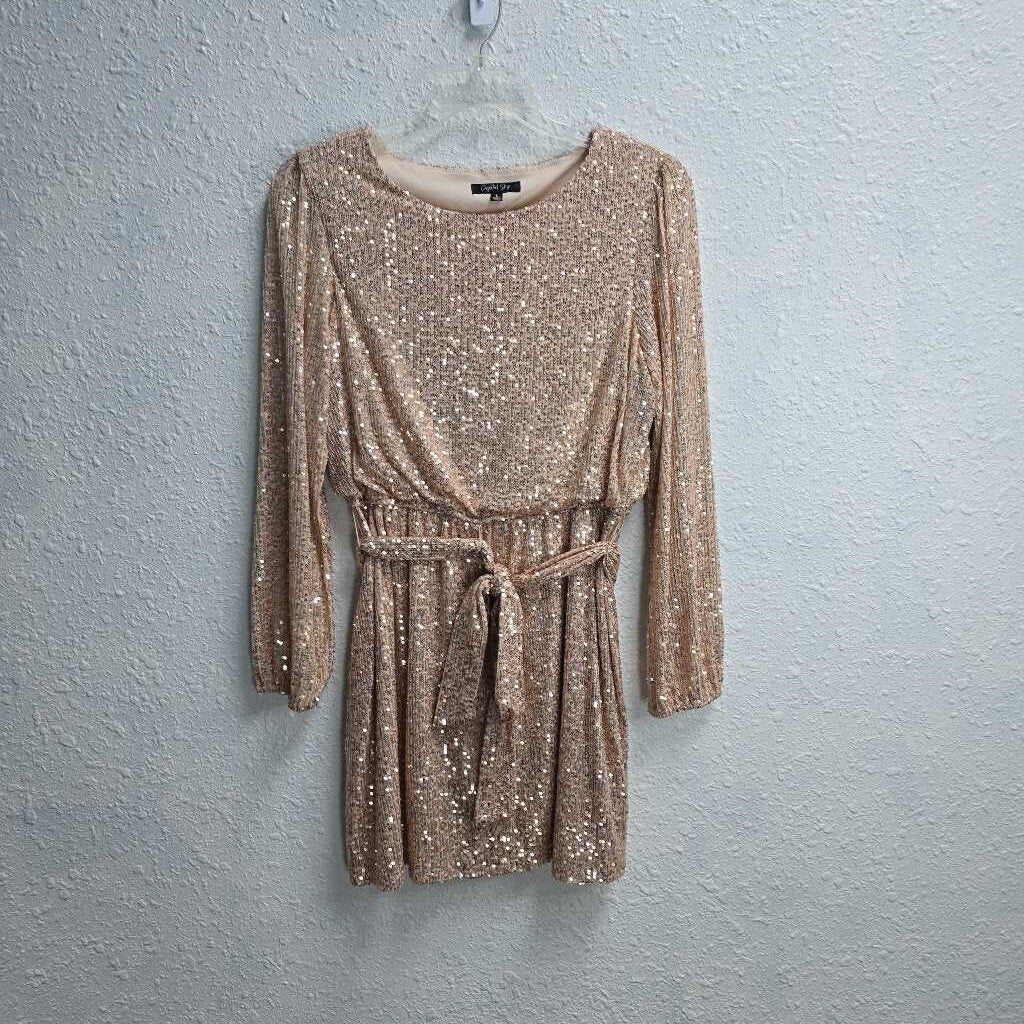 Belted Sequin Dress