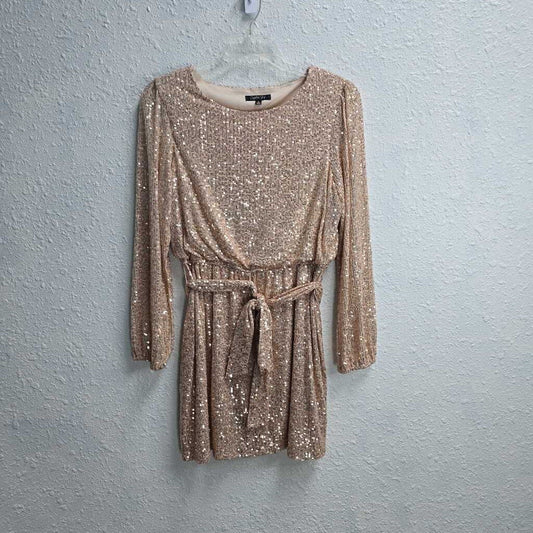 Belted Sequin Dress