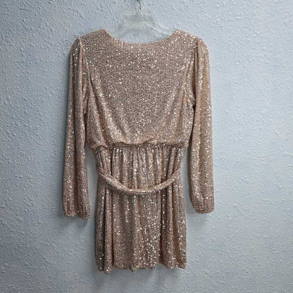 Belted Sequin Dress