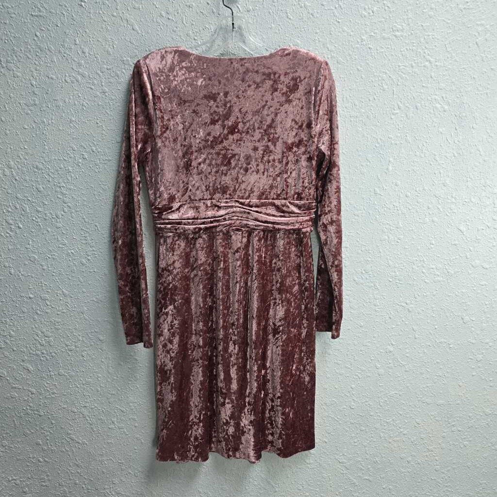 Velvet Dress-New w/ Tags
